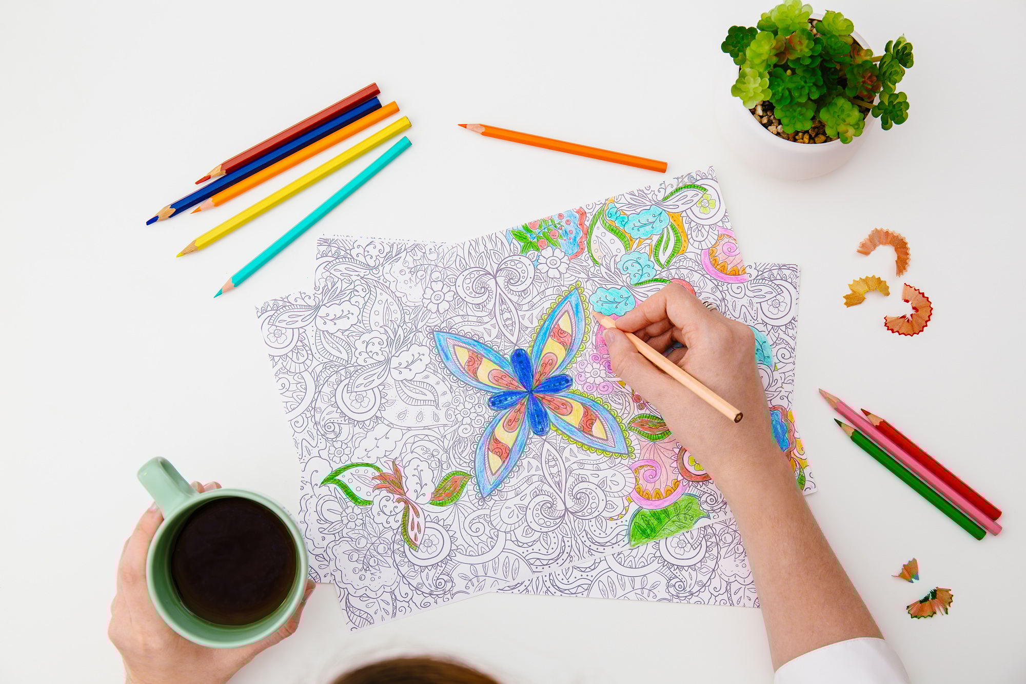 Adult coloring anti stress page or coloring book