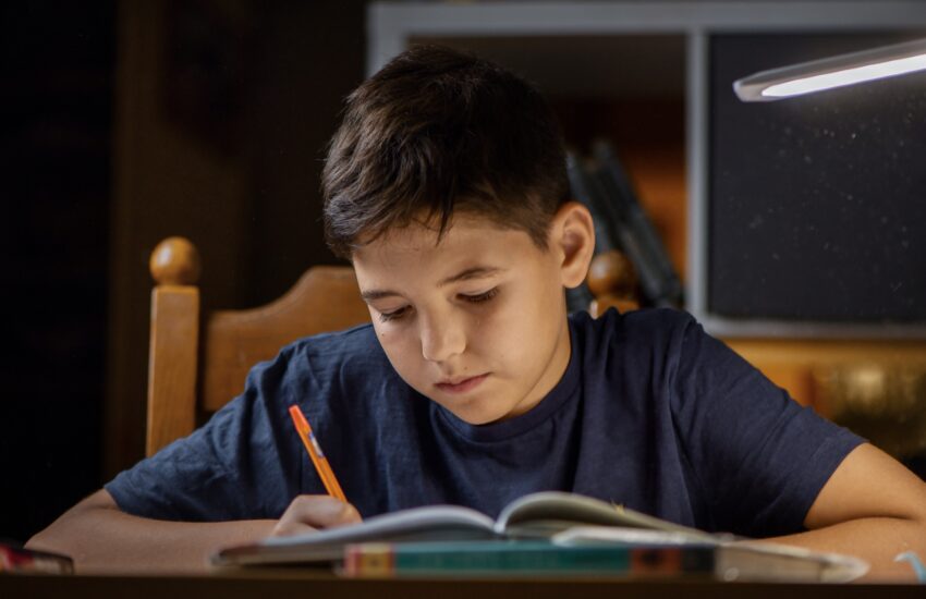 The schoolboy does homework at home. The boy is doing his homework